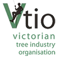 Vtio Logo